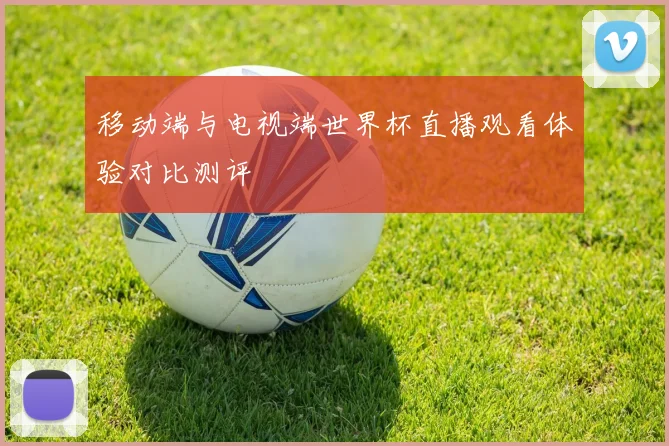 移动端与电视端世界杯直播观看体验对比测评
